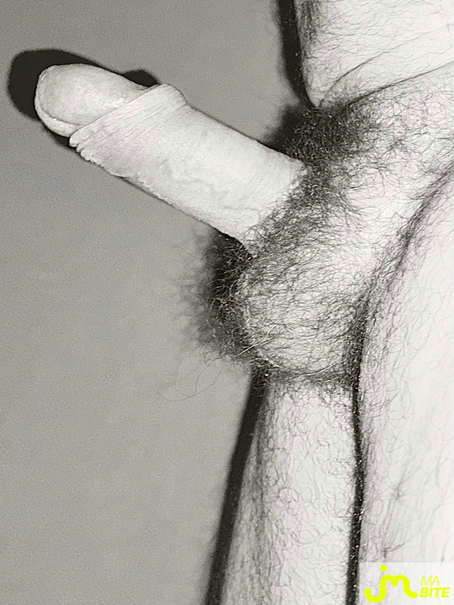 bites de Couplepoilu