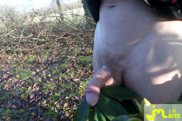 bites de brigkaloo.61