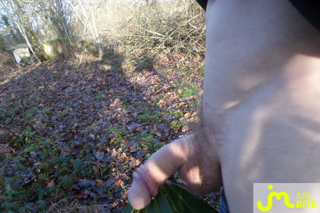 bites de brigkaloo.61