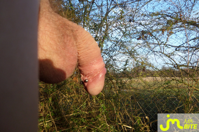 bites de brigkaloo.61