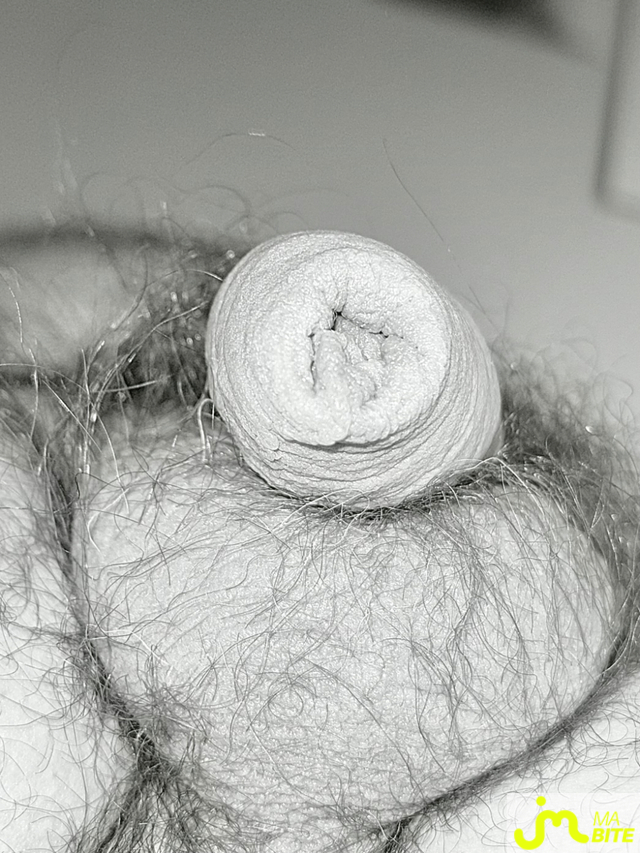 bites de Couplepoilu