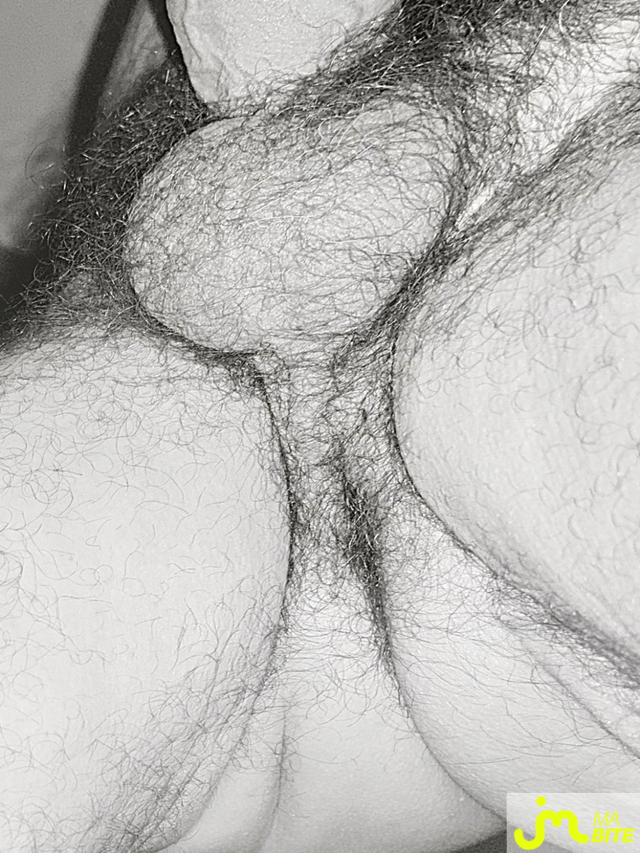 bites de Couplepoilu