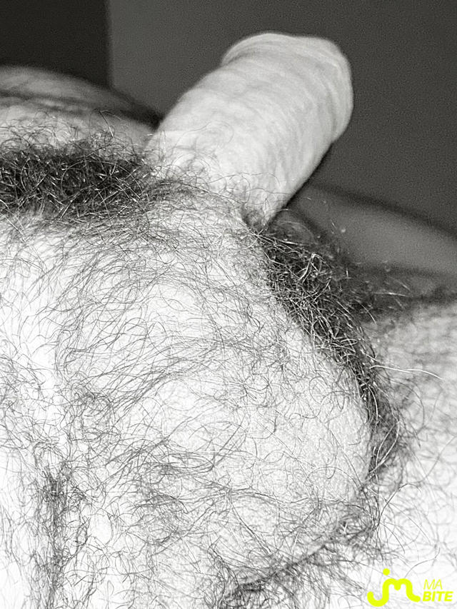 bites de Couplepoilu