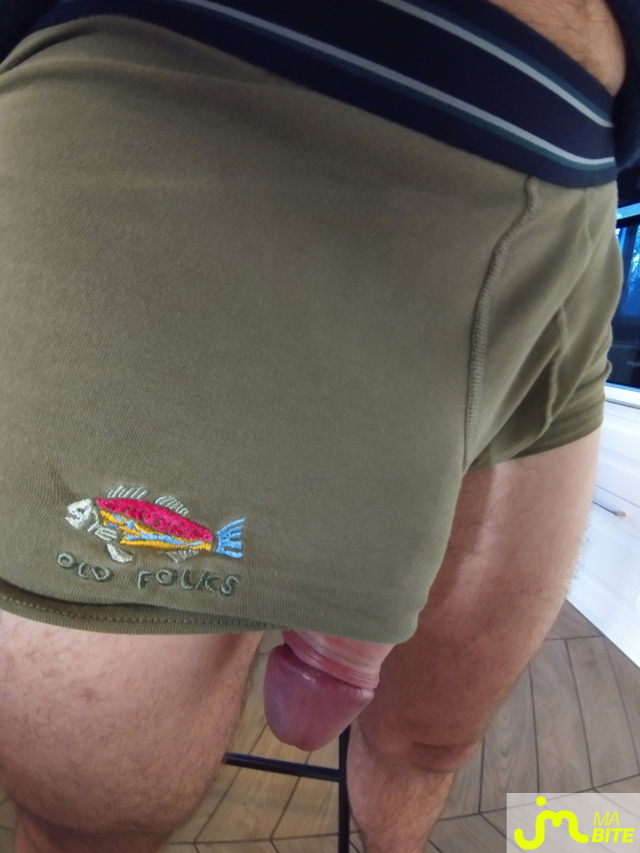 bites de Sudfinistere29