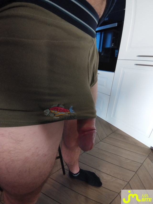 bites de Sudfinistere29