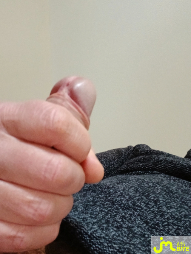 bites de alexandred2291