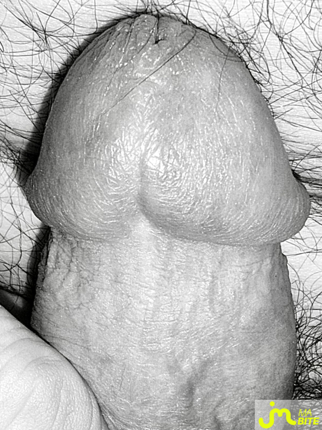 bites de Couplepoilu