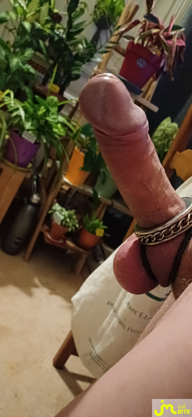 bites de Dionysos & Aphrodite 