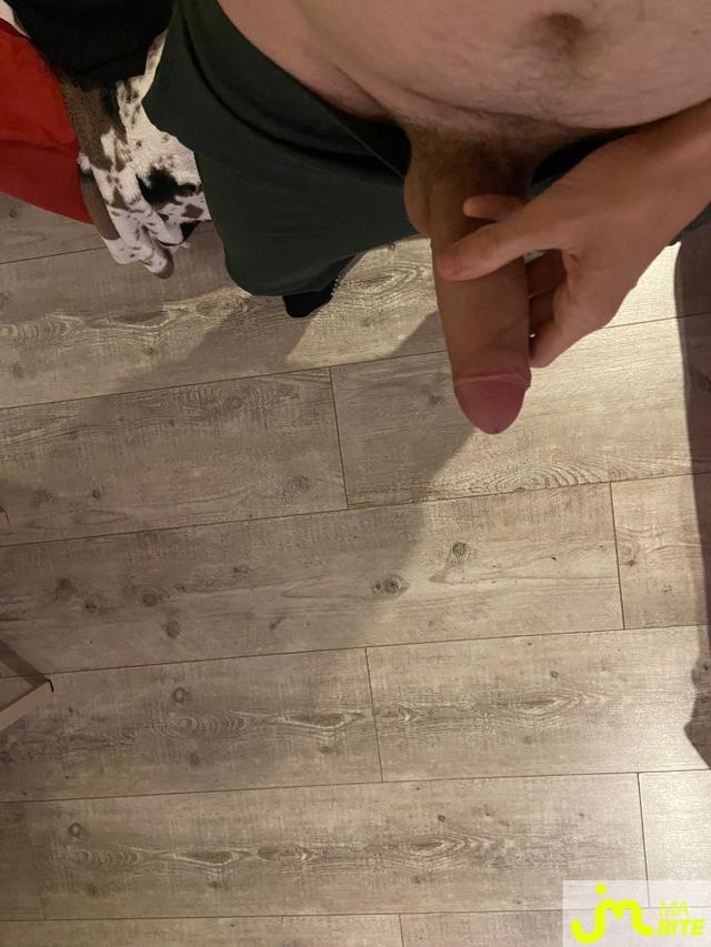 bites de Floflo83200