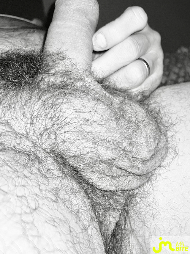 bites de Couplepoilu