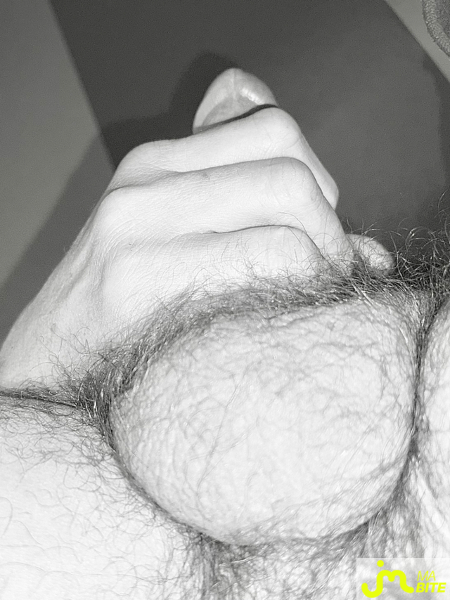 bites de Couplepoilu