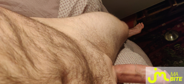 bites de Matraque24cm