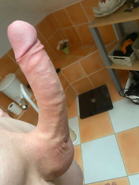 Photos de bites : Premier album