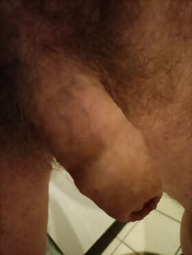 Photos de bites : ma bite parmi temp d'autre 