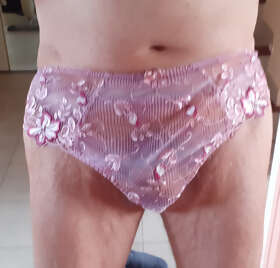 Photos de bites : Petite bite dans grande culotte 