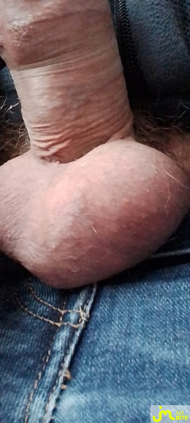 bites de vieuxcochon76