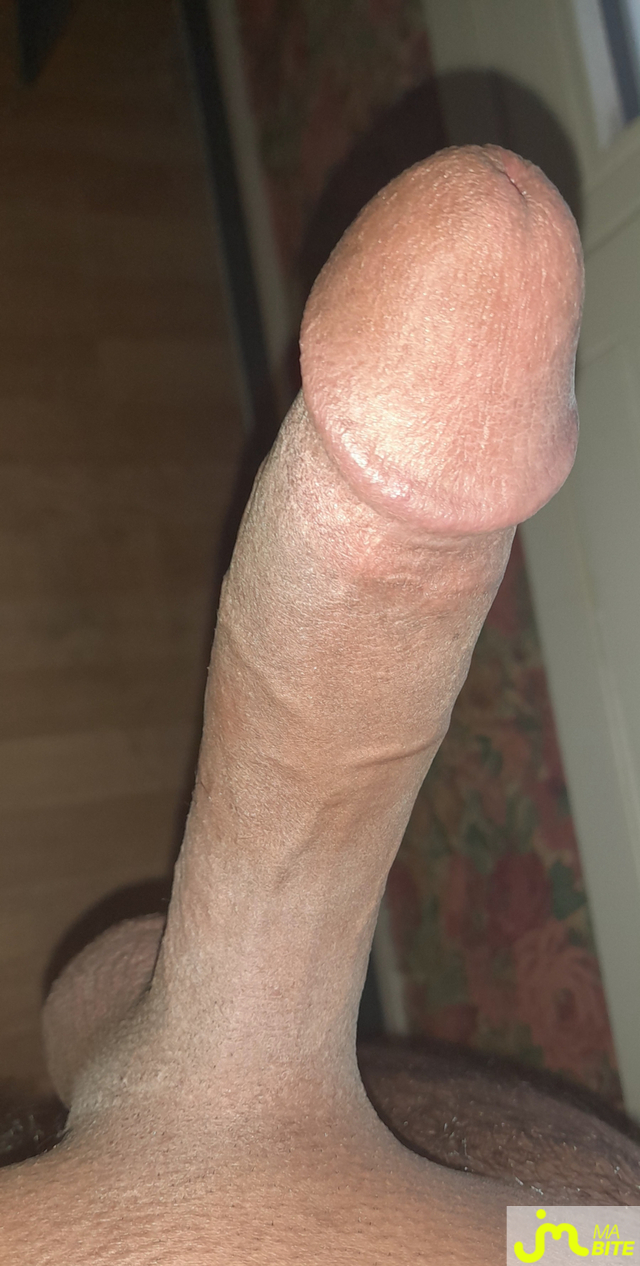 bites de Ericoup&eacute; 