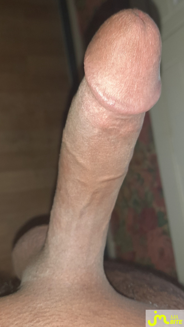 bites de Ericoup&eacute; 