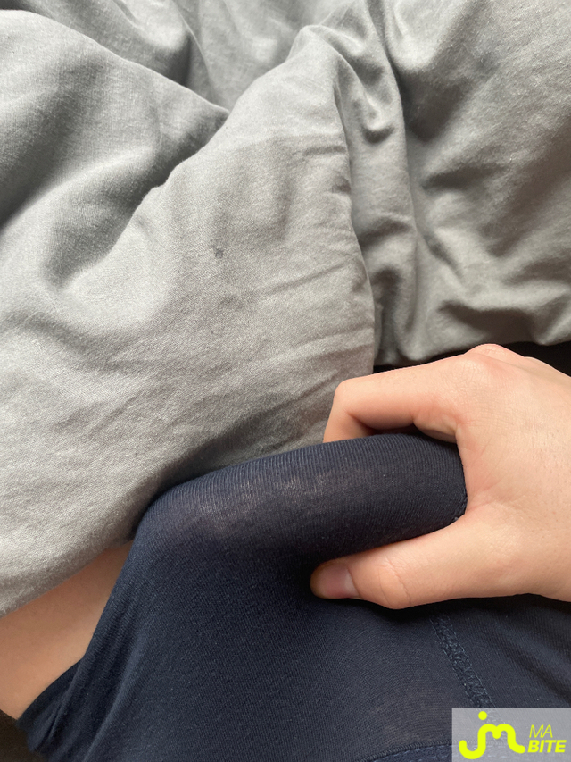 Photos de bites : D&egrave;s le matin 