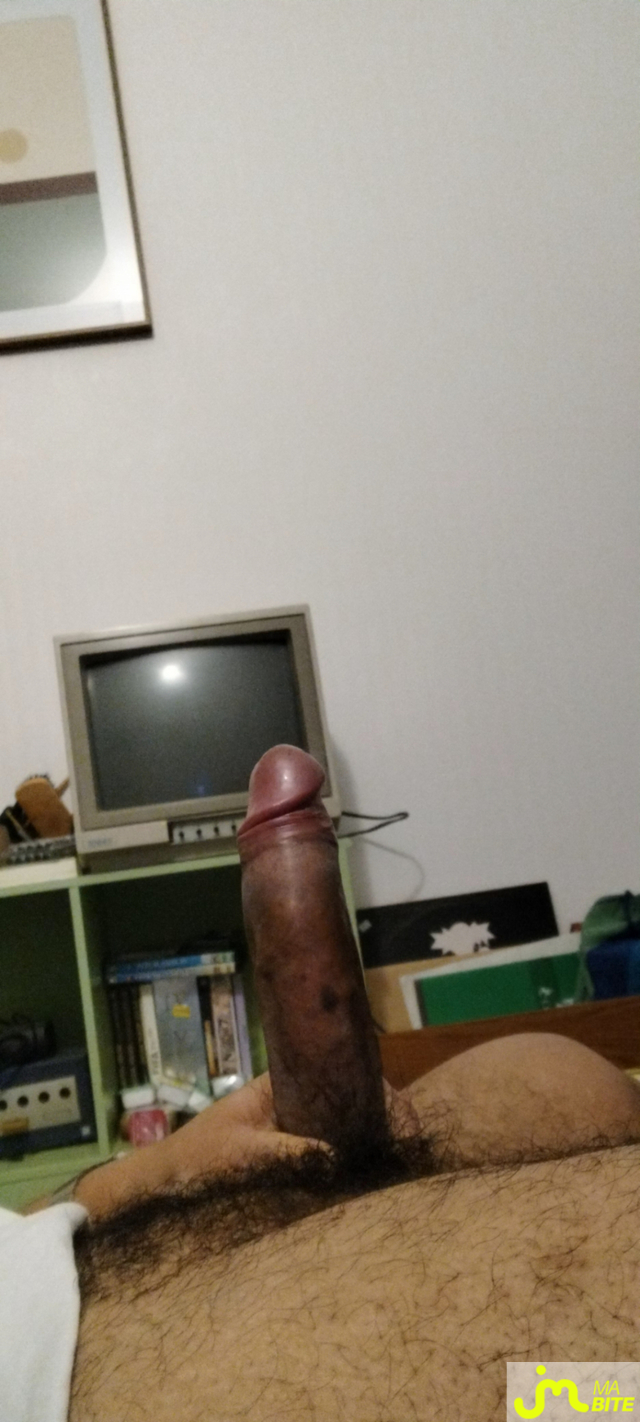 bites de pittbulling