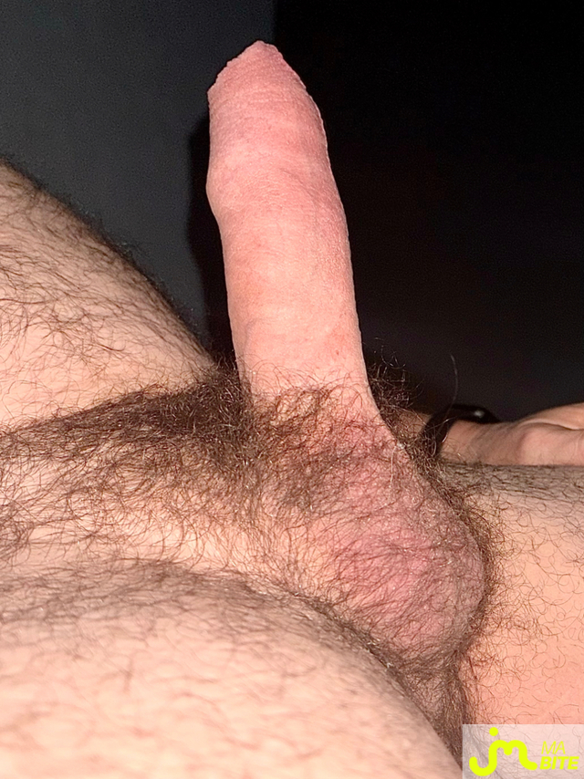 bites de Couplepoilu