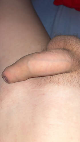 Photos de bites : Repos