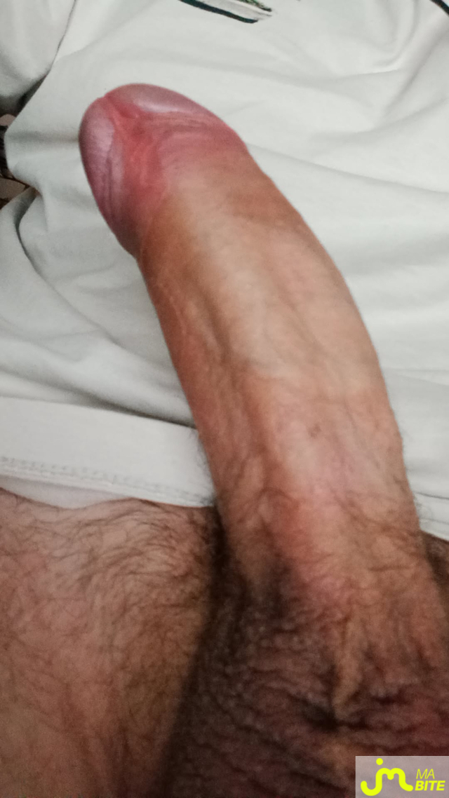 bites de Julien21000