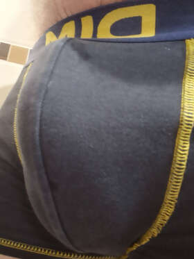 Photos de bites : 1er photo 