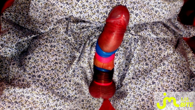 bites de Vxm&acirc;lebi46