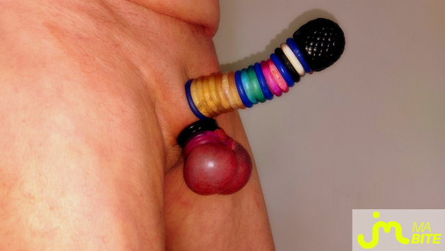 bites de Vxm&acirc;lebi46