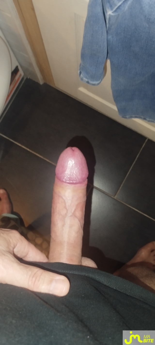 bites de chasseur8388