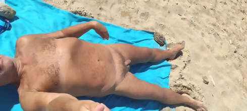 Photos de bites : quelques photos