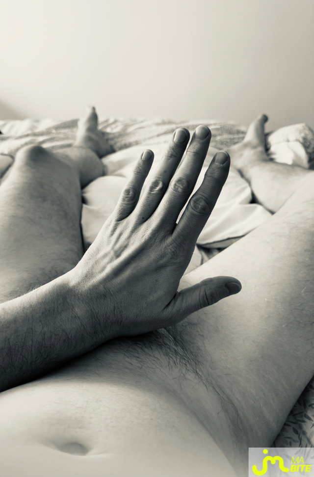 bites de LePh&oelig;nix