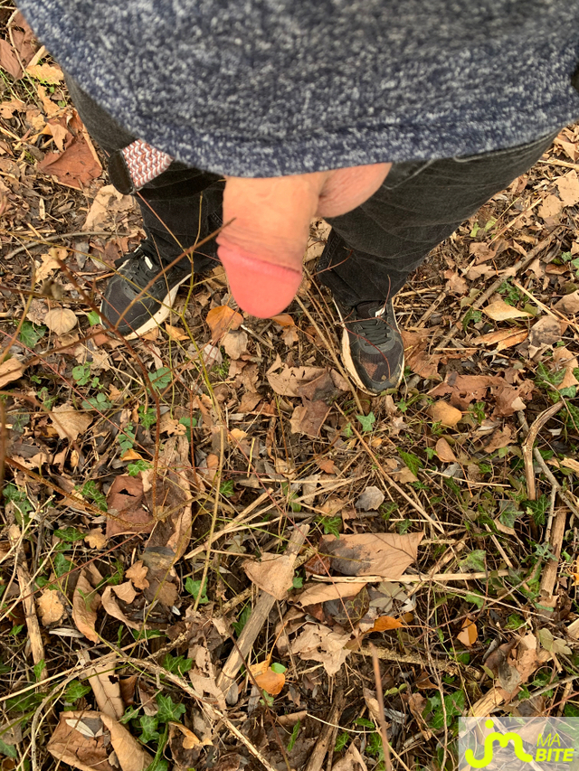 Photos de bites : Dans une vieille clairi&egrave;re 