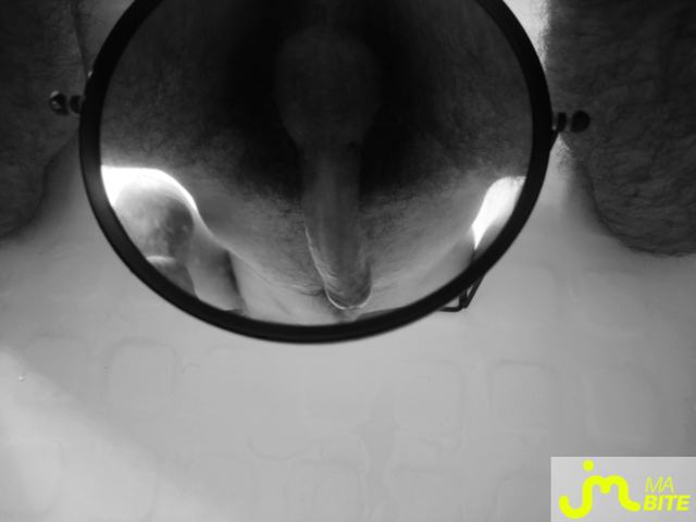 bites de Travelnoise