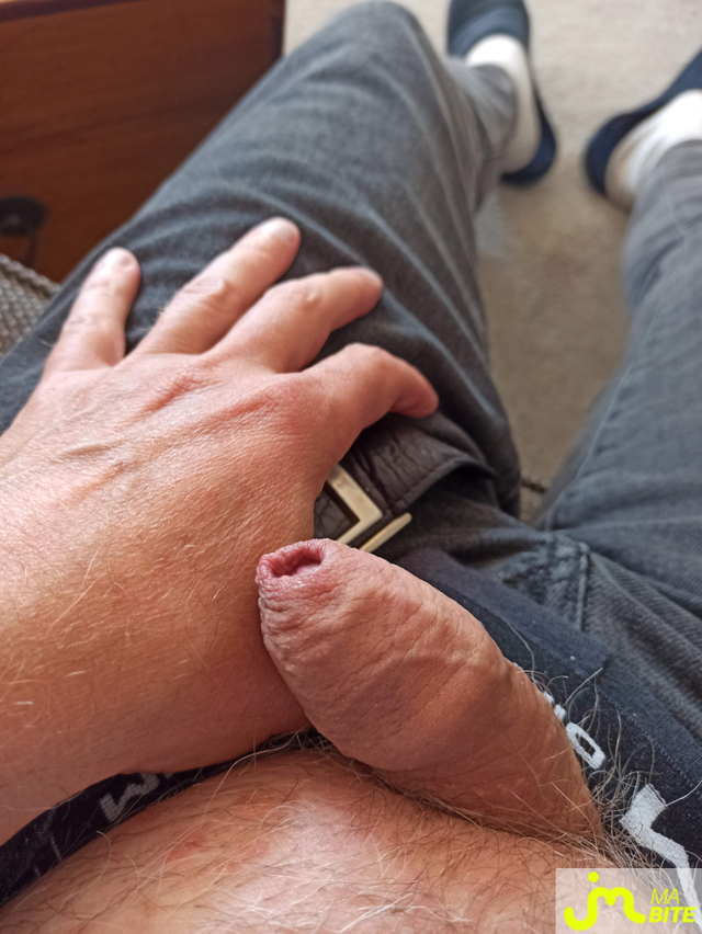 bites de gainsbarre77