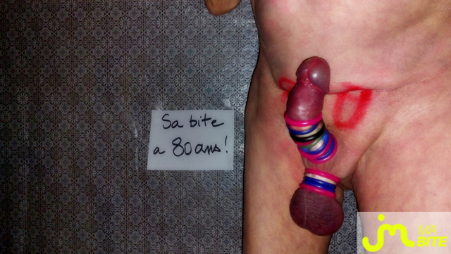 bites de Vxm&acirc;lebi46