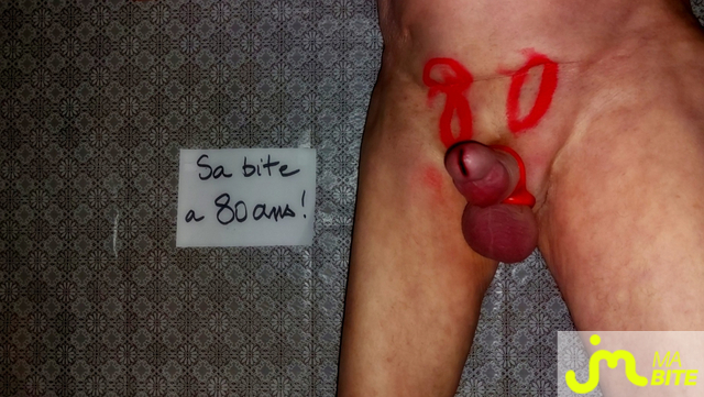 bites de Vxm&acirc;lebi46