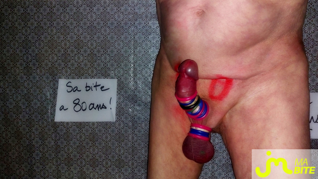 bites de Vxm&acirc;lebi46