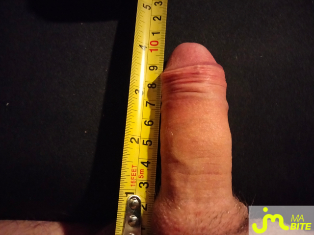 Photos de bites : Premier album