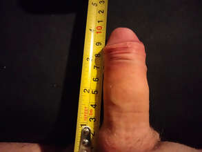 Photos de bites : Premier album