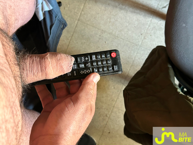 Photos de bites : D&eacute;fi 