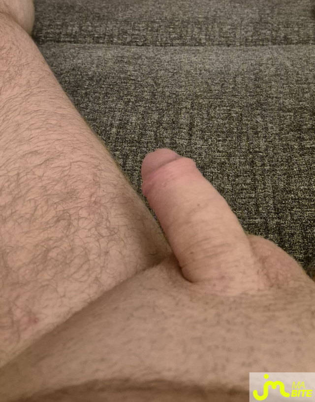 bites de Ind&eacute;cis21