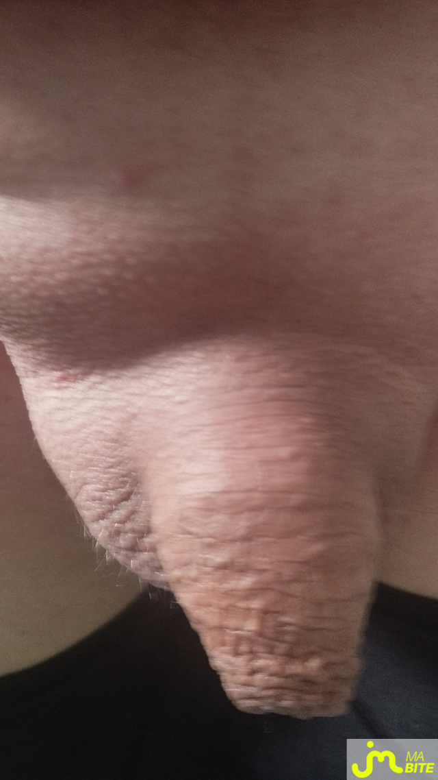 Photos de bites : Toute lisse de nouveau
