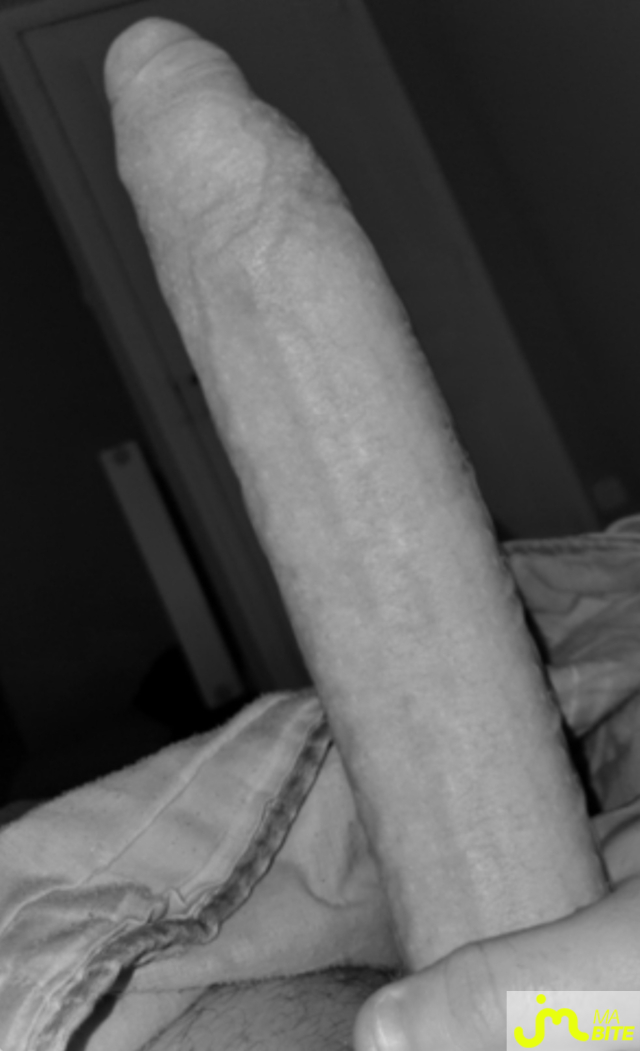 bites de L&eacute;o.74000