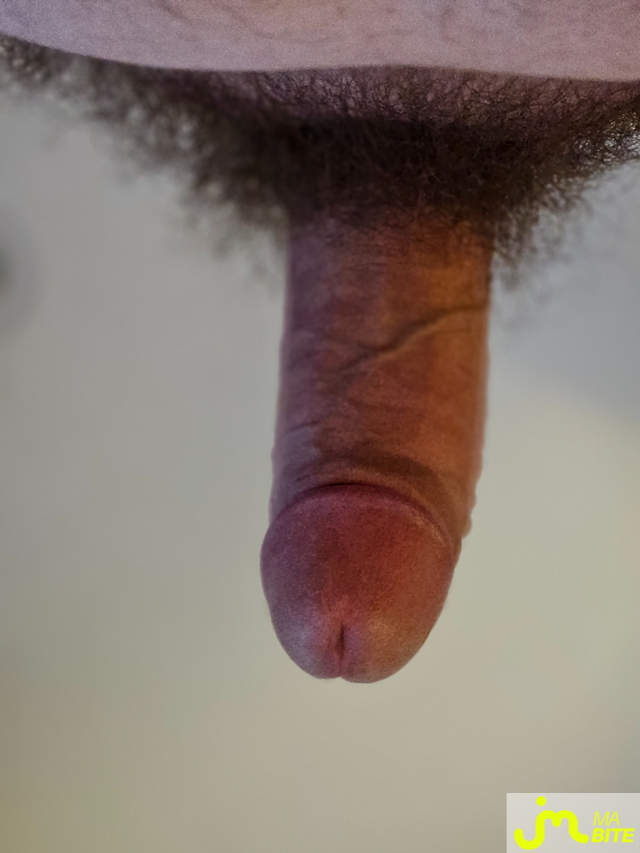 bites de Laurentbi60