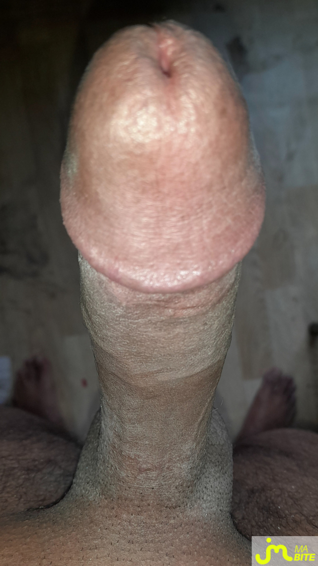 bites de Ericoup&eacute; 