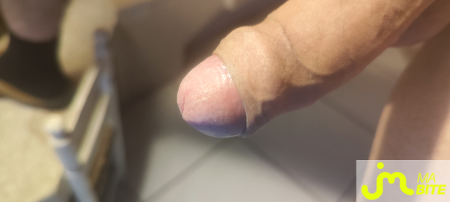 bites de Guillaume 16