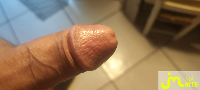 bites de Guillaume 16