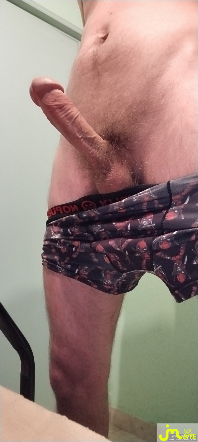 Photos de bites : Yannick62172